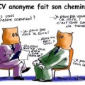 cv anonyme