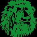 Emblème de l'Equipe du Cameroun de Football
