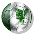 Logo Super Eagles