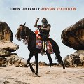 tiken-jah-fakoly_african-revolution